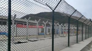 Chain-Link-Fence-Project-6.webp