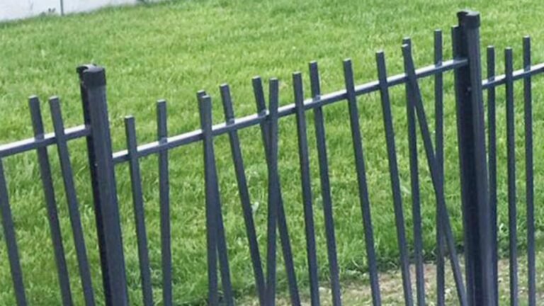 Bamboo fence 1