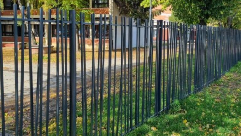 Bamboo fence 2