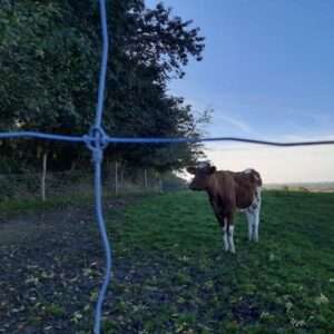 stockfence 3