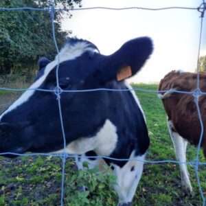 stockfence 4