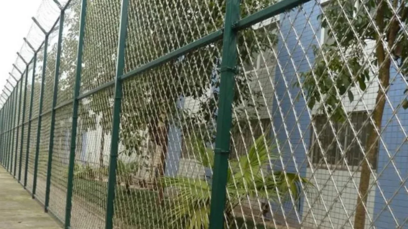 2DF Razor Wire Mesh Fence