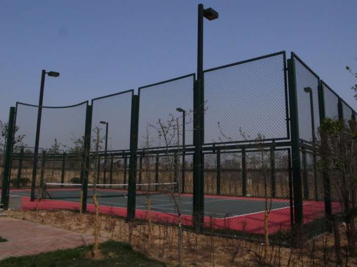 Dark Green Chain-Link Fencing