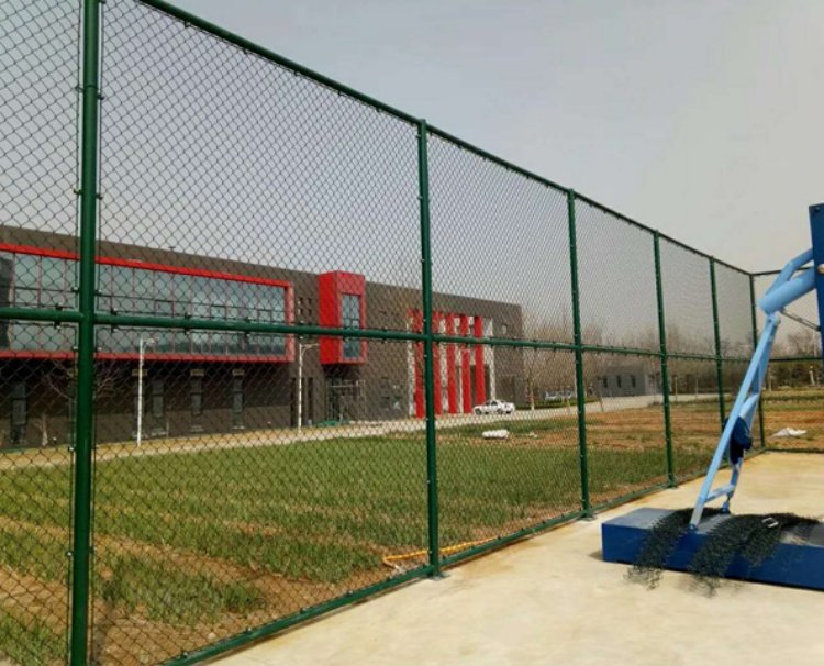 Ultimate Basketball Court Fence Buyer’s Guide: Stylish, Durable, & Easy Setup