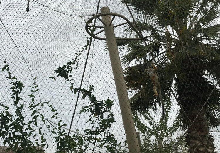 Custom Stainless Steel Nets