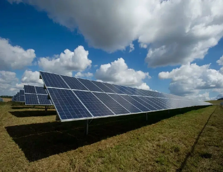 Secure & Sustainable: The 5 Best Fencing Options for Solar Farms Worldwide