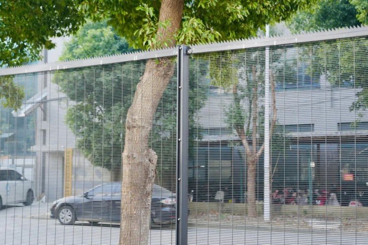 Welded Wire Mesh Fencing