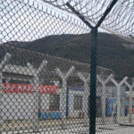 ASTM PVC Coated<br>Chain Link Fencing ASTM PVC Coated Chain Link Fencing