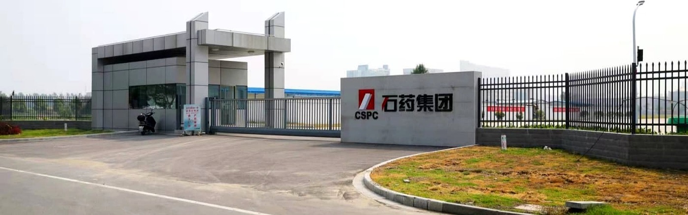 Main entrance and perimeter fence at Guangxiang Pharmaceutical plant
