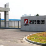 Perimeter Fencing Solution for Chemical and LNG Projects