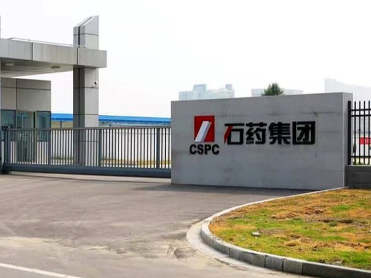 Perimeter Fencing Solution for Chemical and LNG Projects