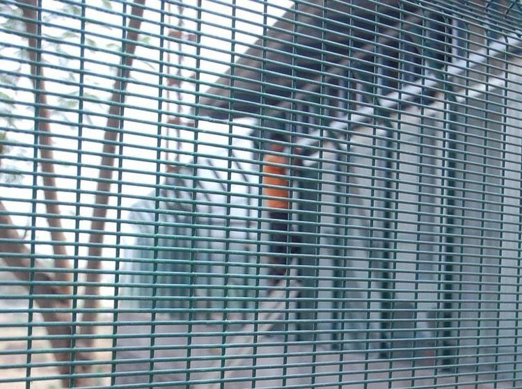 Dense small-aperture 358 anti-climb mesh detail