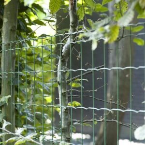 2DG Residential and Garden Fence Panel Rollable & Profiled Posts B