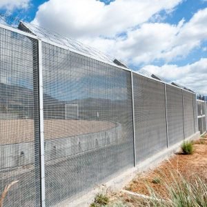 4D 358F style square mesh double layer fence panel & Profiled Posts C 1